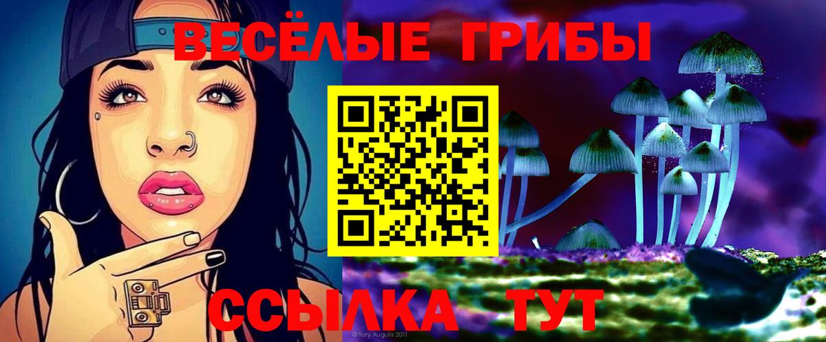 Псилоцибиновые грибы GOLDEN TEACHER Новозыбков